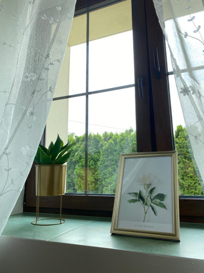 Lu Residence - Unique Apartments Освенцім Екстер'єр фото